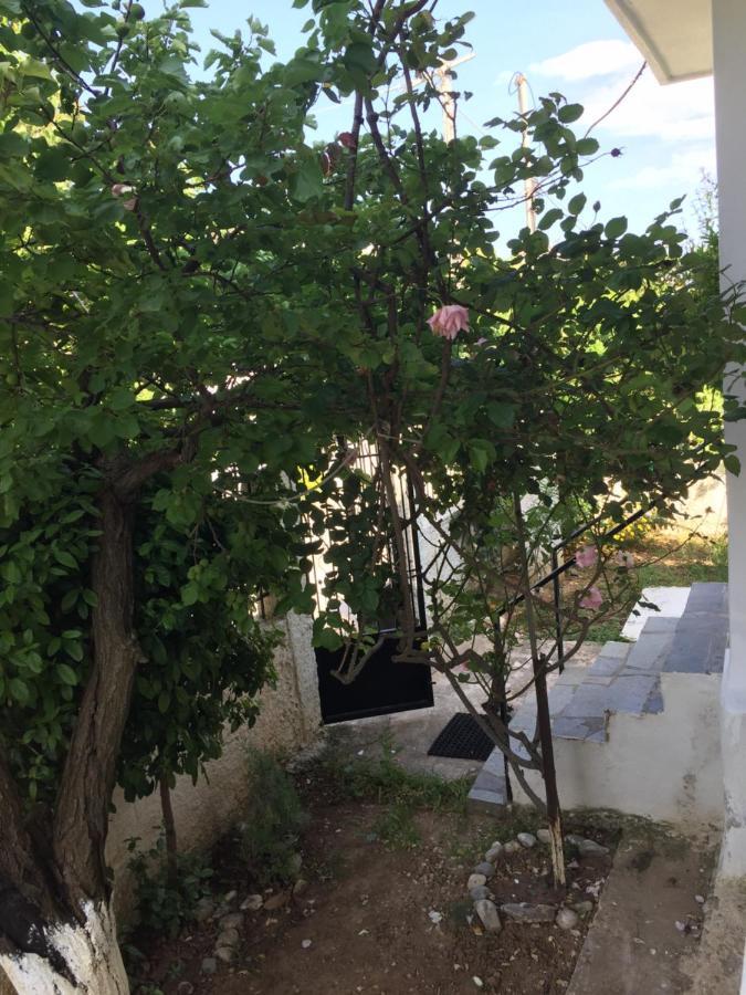 Rose'S Place Artemida  Dış mekan fotoğraf